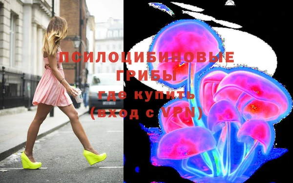 СК Балахна