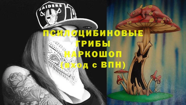 Альфа ПВП Баксан