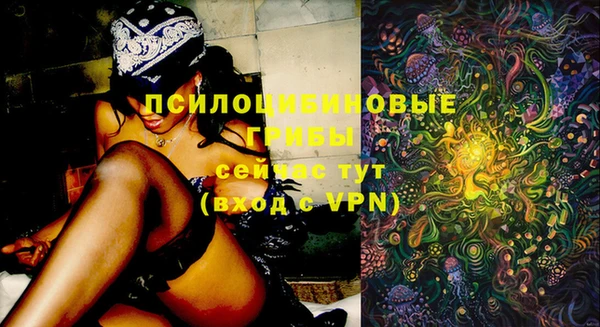 Альфа ПВП Баксан